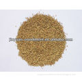 Health Food Seasoning Dried Dill Seeds